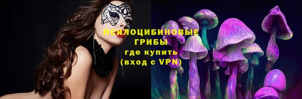 сатива Алзамай