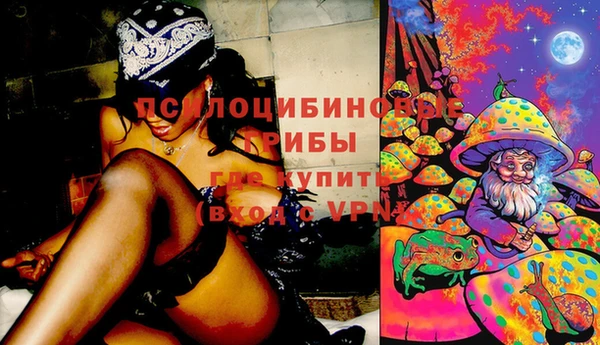 сатива Алзамай