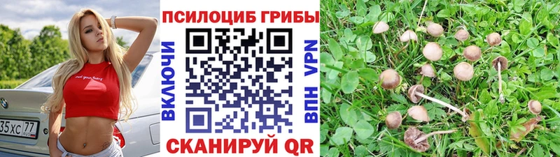 Псилоцибиновые грибы мухоморы  Лагань 